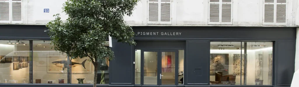 Pigment Gallery